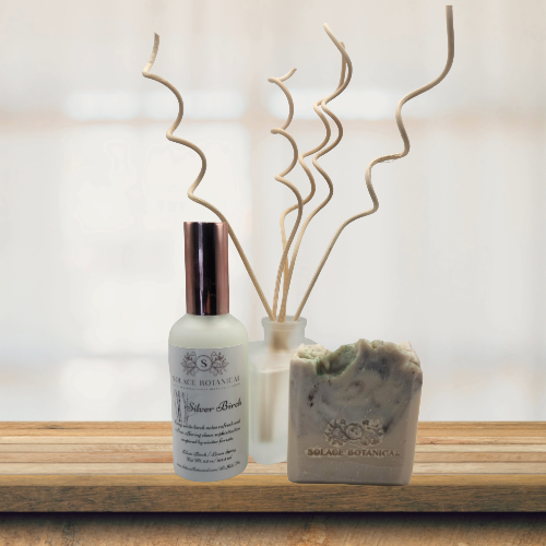 Silver Birch Signature Collection – White Birch  Solace Botanical