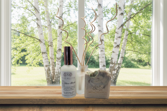 Silver Birch Signature Reed Diffuser – White Birch | Elegant Home Fragrance