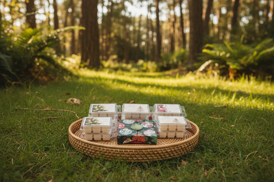 Frosted Fir Fragrance Wax Melts